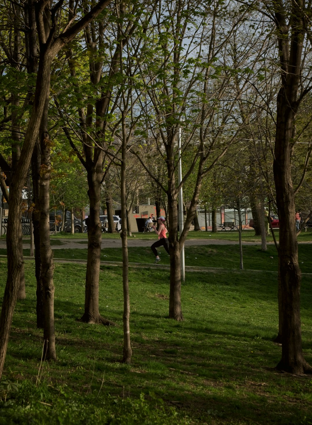 YYZ 10 // SPRING by Walkathon Virtual a park with lots of trees and a person on a skateboard